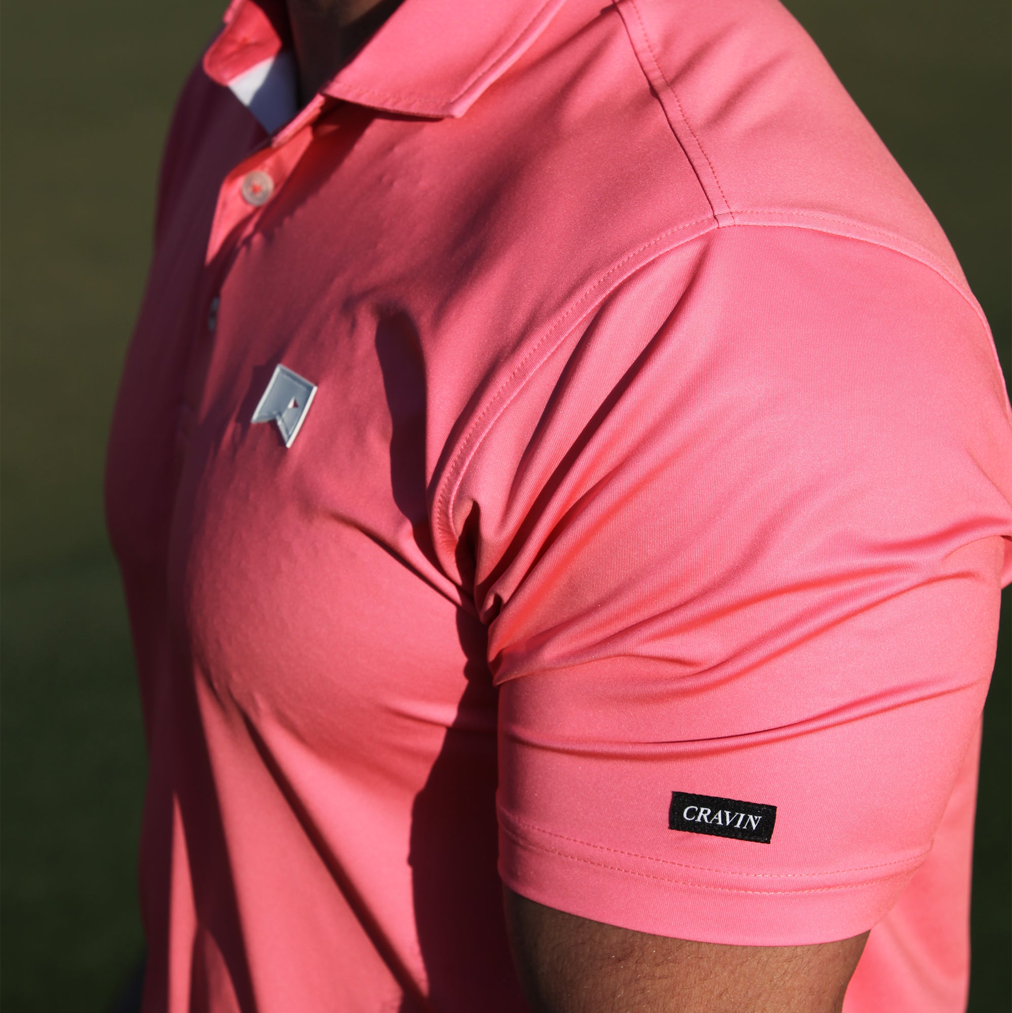 Pink Flamingo